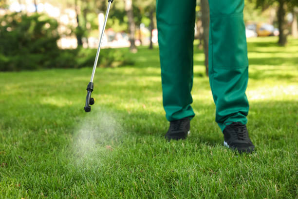 Best Best Pest Control Companies  in Bucyrus, OH