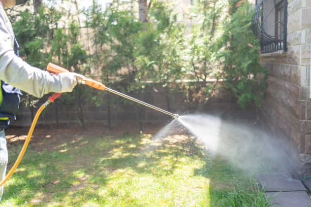 Best Local Pest Control Services  in Bucyrus, OH