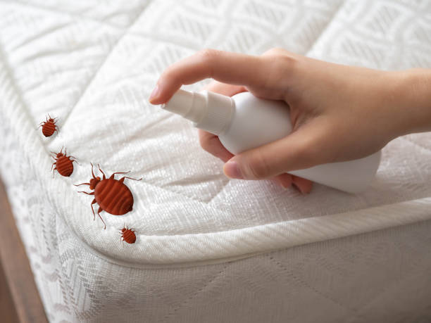 Best Mosquito Control Services  in Bucyrus, OH