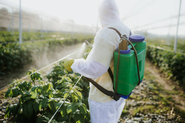 Best Wildlife Control Services  in Bucyrus, OH